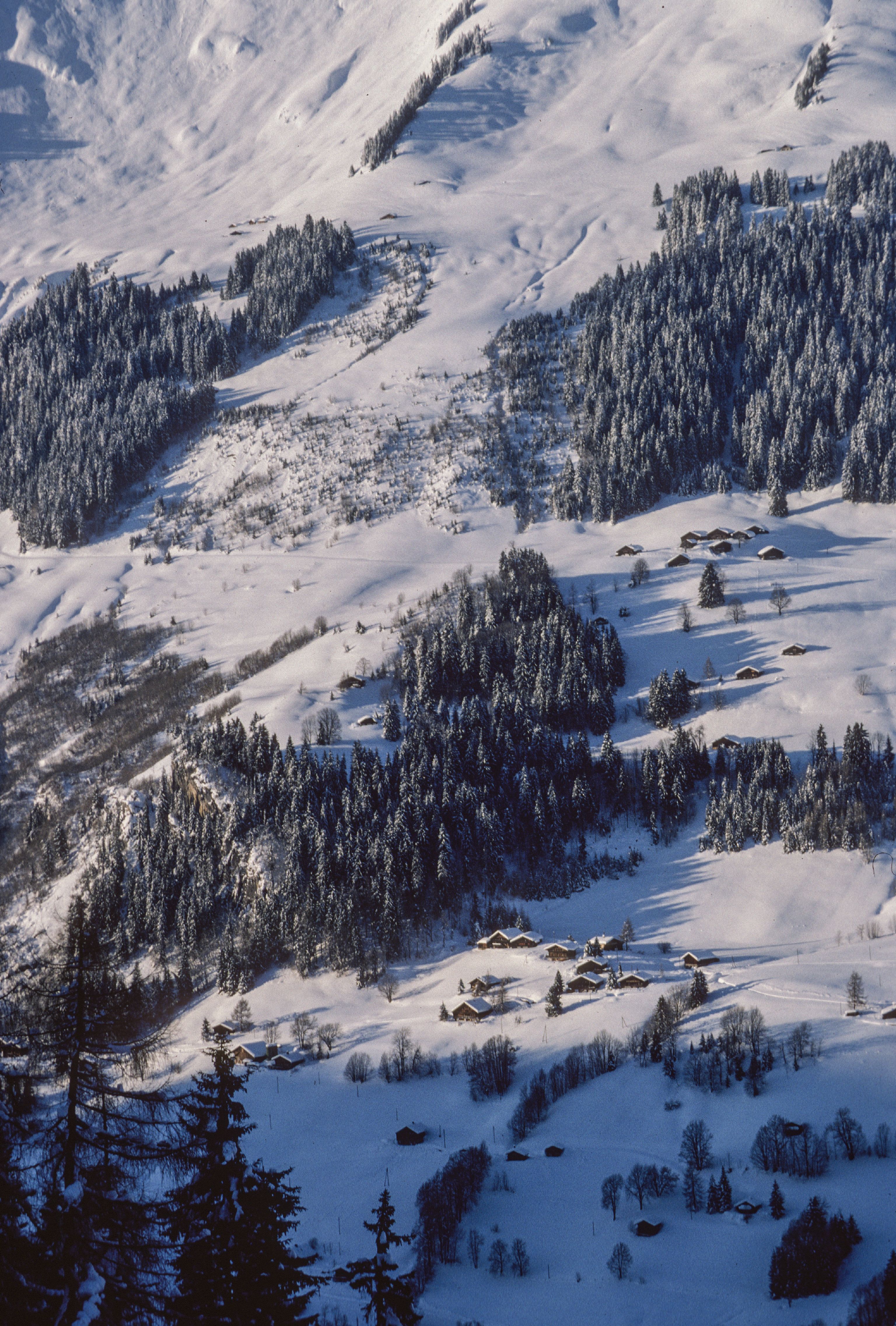 Ormont-Dessus, La Ville, Lawinenzüge an der Pointe des Semeleys2