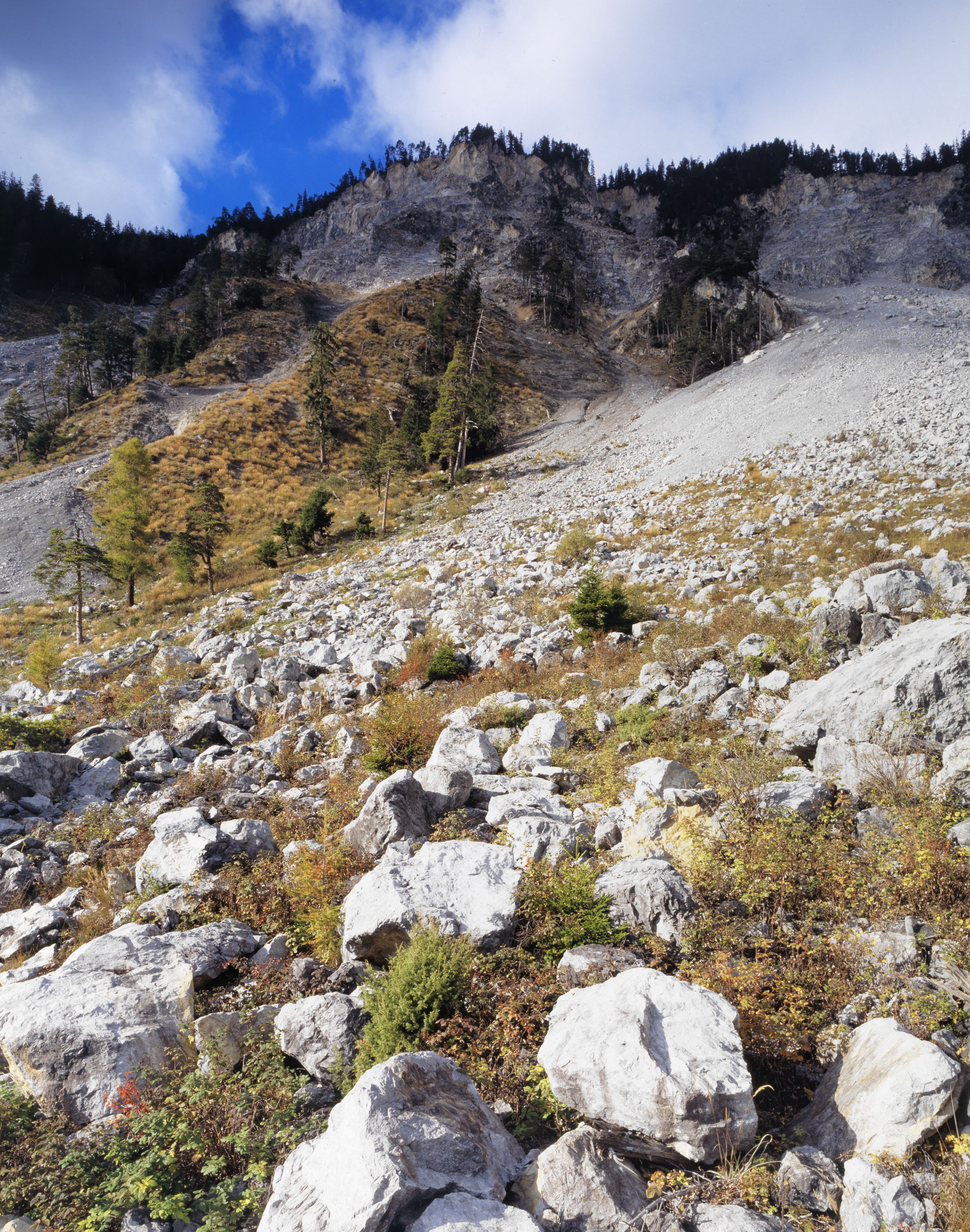 Brienz/Brinzauls GR, In der Rutschung Igl Rutsch im Südhang oberhalb Brienz