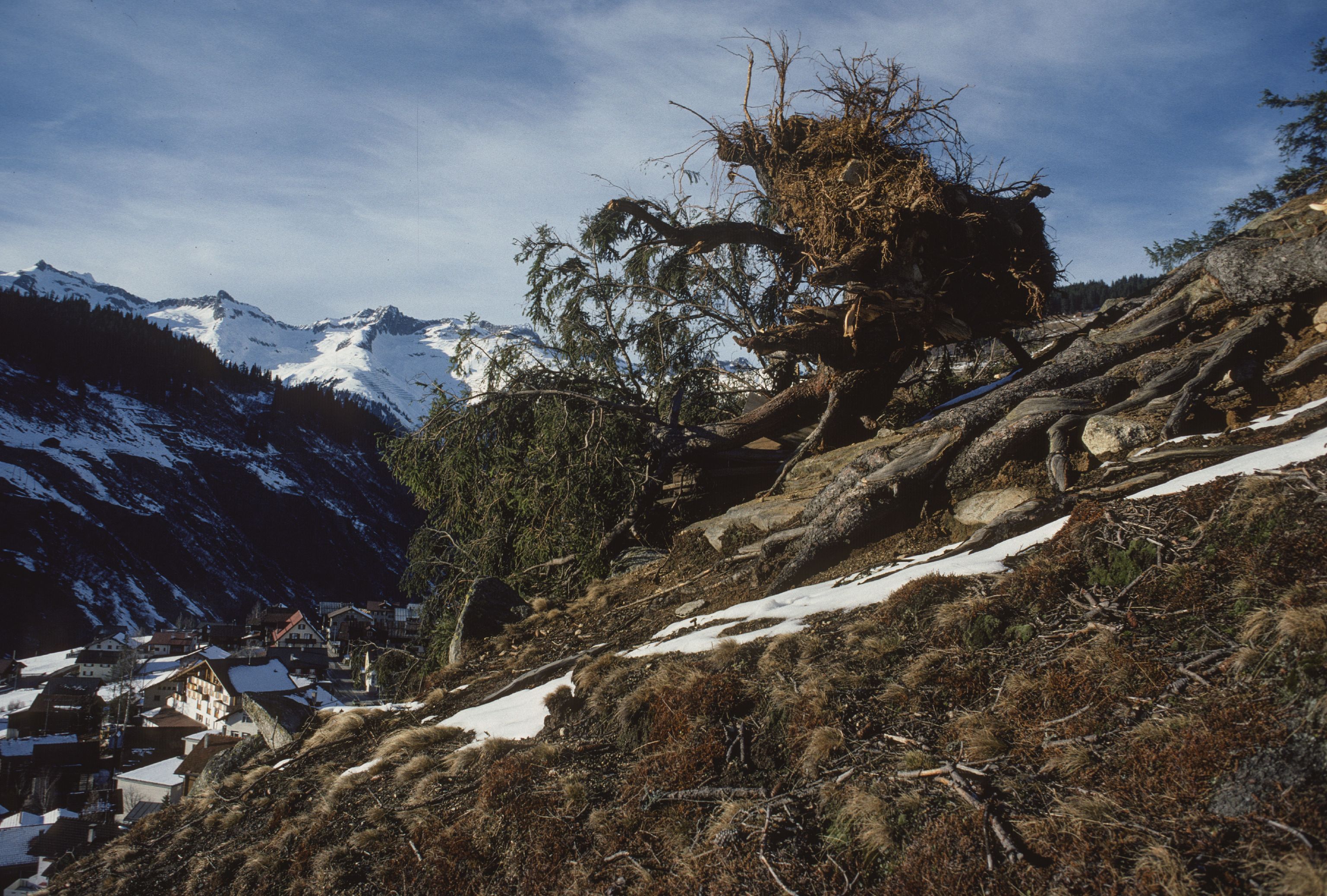 Medel (Lucmagn) GR, Im Westhang Uaul da Curaglia oberhalb Curaglia