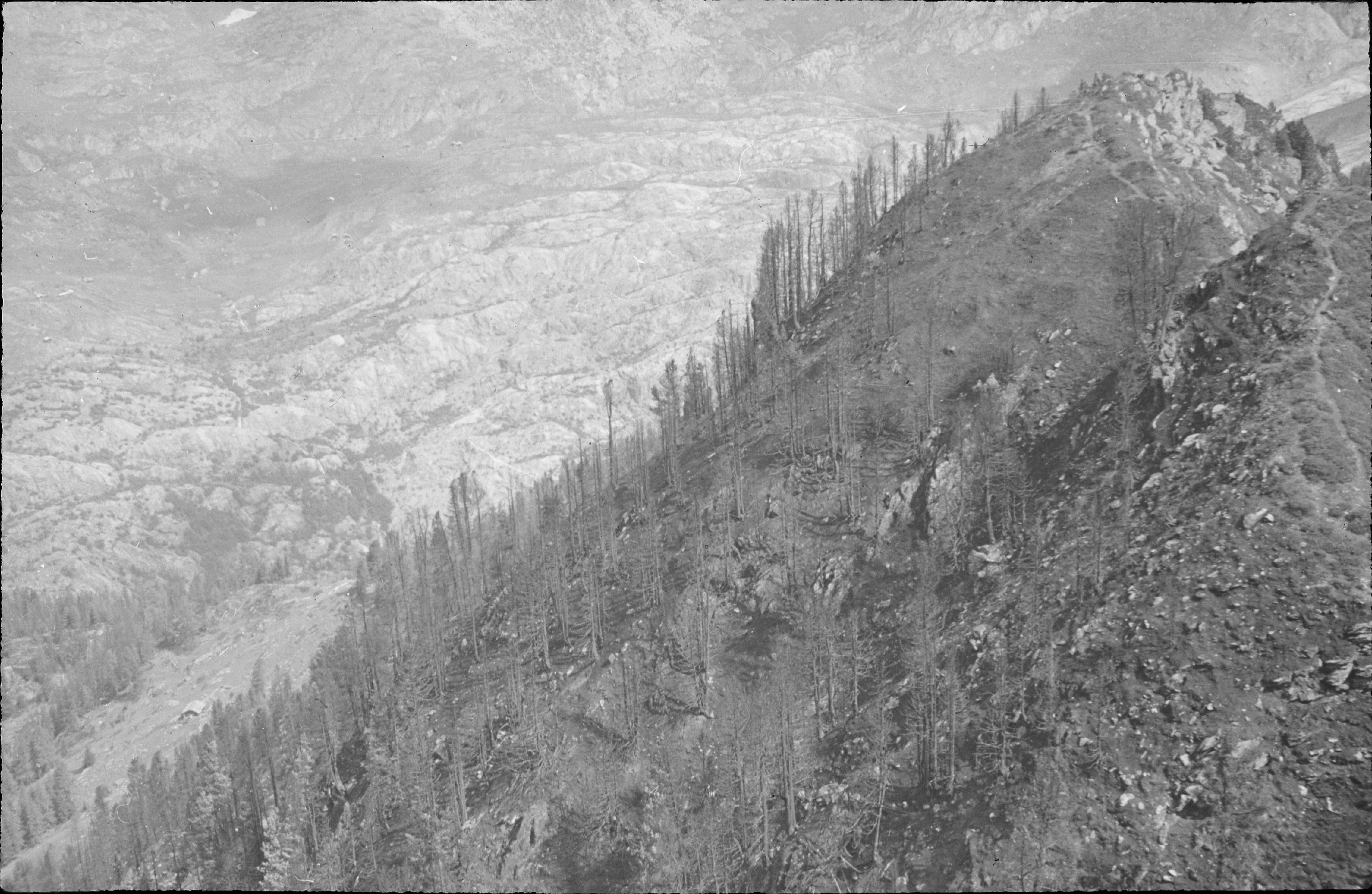 Aletschreservation, Waldbrand am Nordhang des Riederhornes, vom Gipfel gesehn