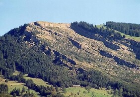 Sicht auf das Anrissgebiet vom Bergsturz in Goldau. Die Nagelfluhschichten sind gegen links, d.h. gegen Norden aufsteigend. Mergelschichten dienten als Gleitfläche für die grosse Rutschmasse. Immagine: Frana in massa a Goldau, Roland Zumbühl picswiss 1999