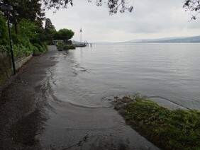 Durch intensive Regenfälle über mehre Tage stieg der Pegel des Zürichsees  fast bis zur ersten Hochwasser-Alarmmarke von 406,60 Metern. An mehreren Orten, wie hier bei Thalwil, trat der See über die Ufer. Normalerweise liegt der Pegel des Zürichsees zu dieser Jahreszeit etwa einen halben Meter tiefer. Bild: Zürichsee tritt über die Ufer, Edith Oosenbrug BAFU 2013